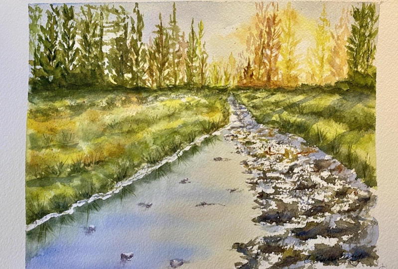 Sunrise on River