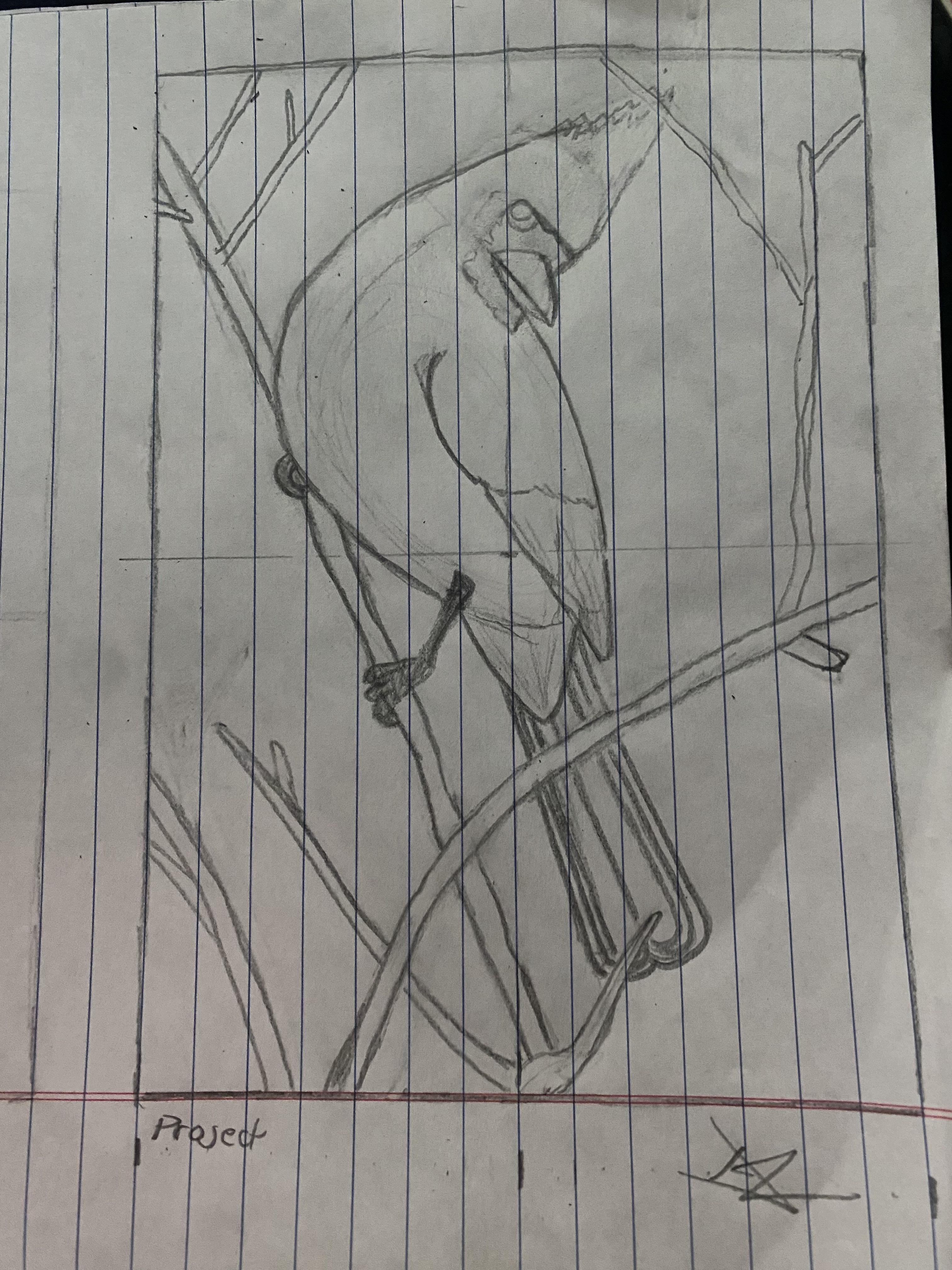 more-projects-from-class-img