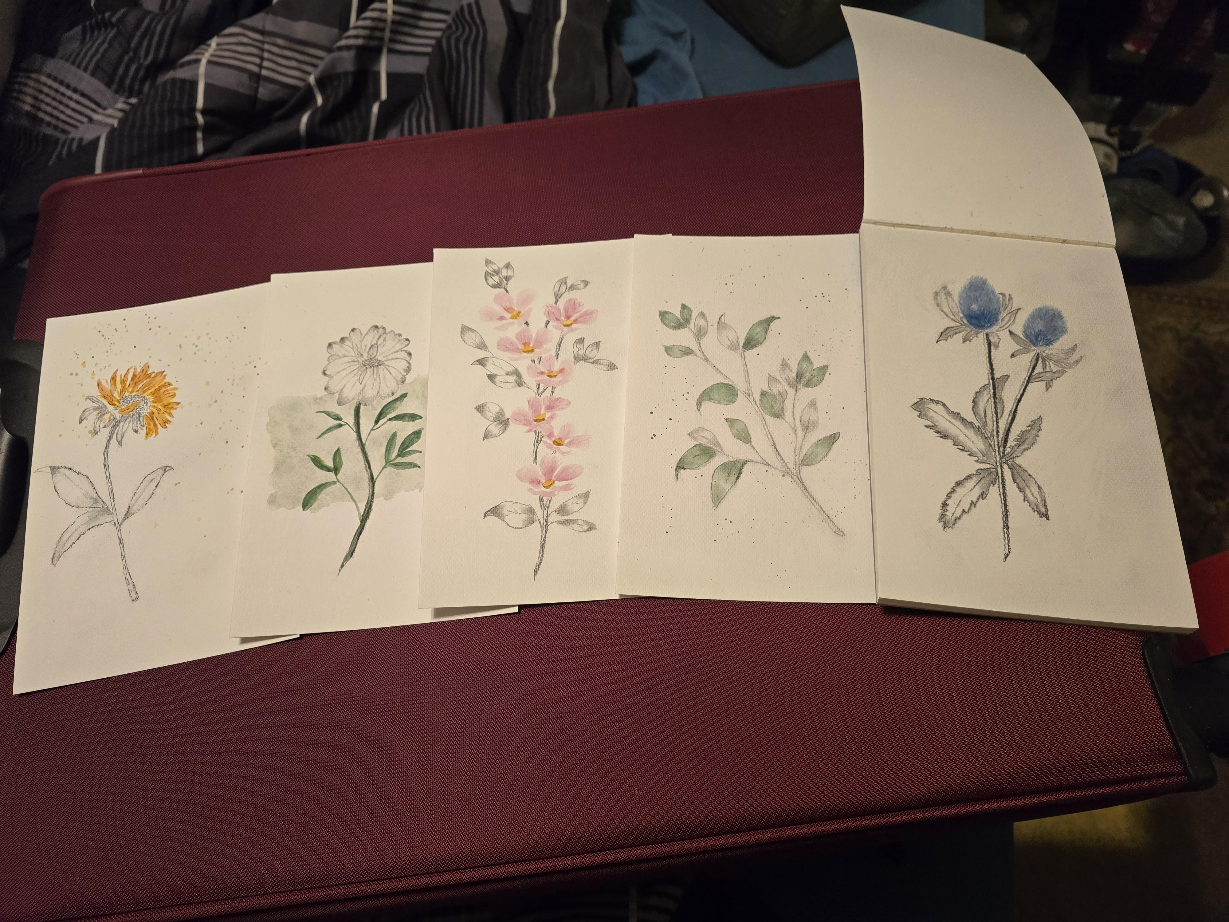 more-projects-from-class-img