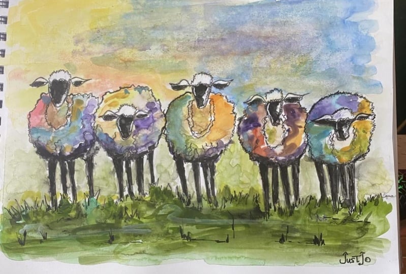 Little sheep!