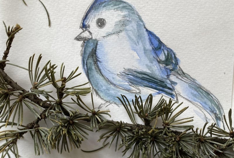 Blue Birds