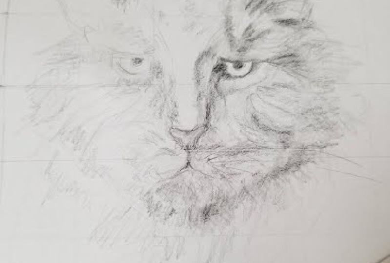 Cat pencil gridlines practice