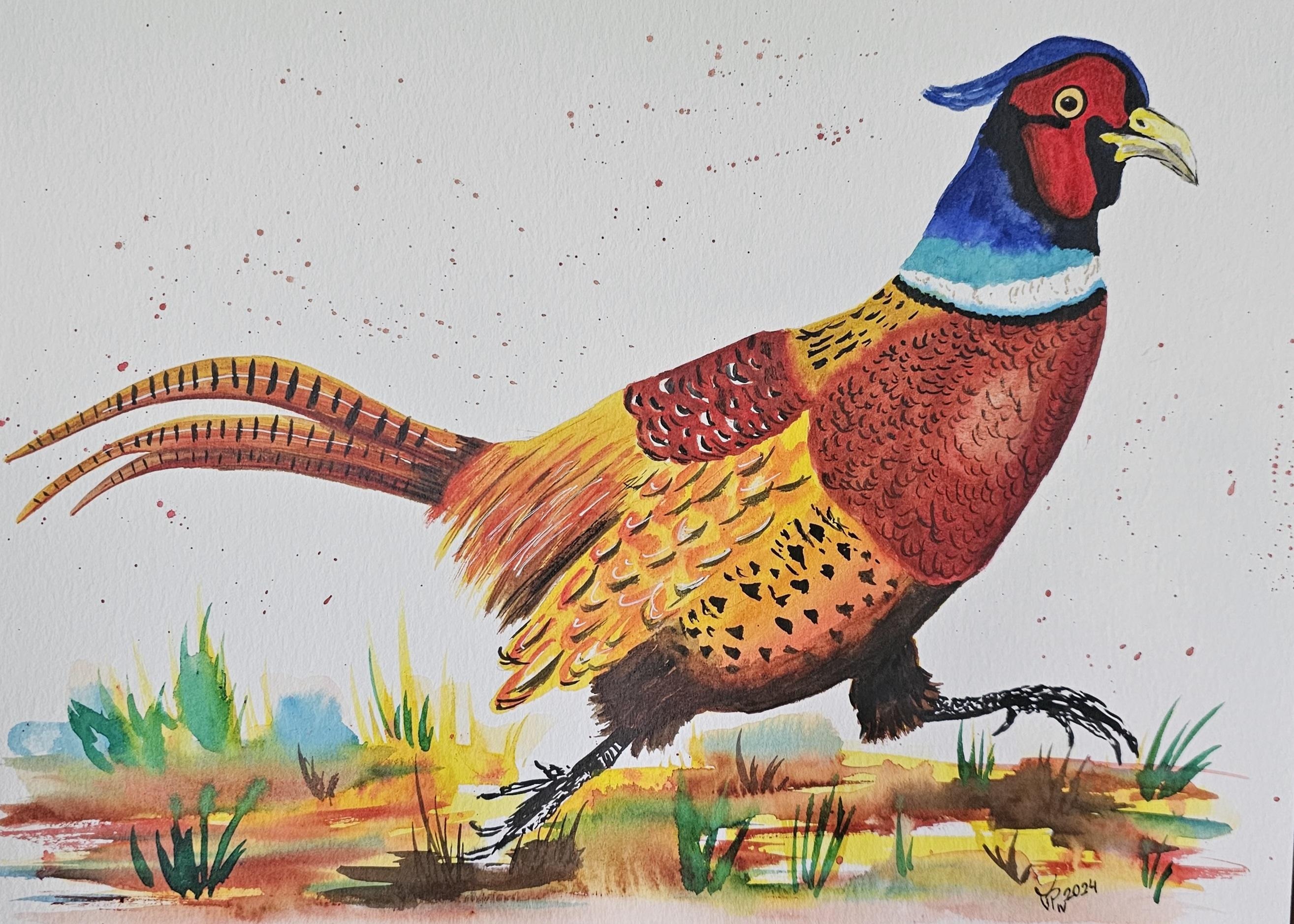 pheasant - student project