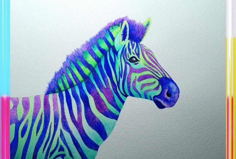 Color Wheel Zebra