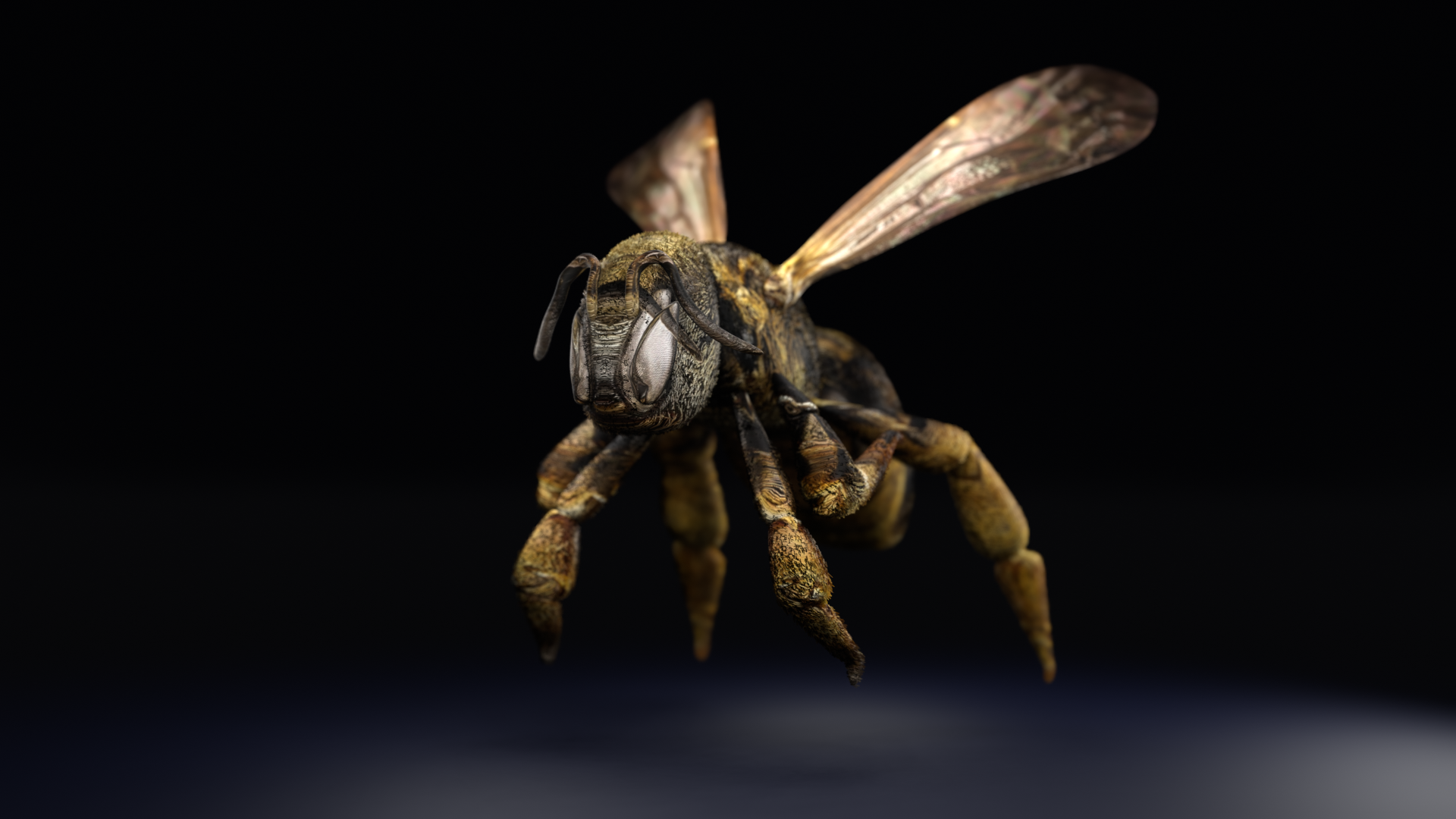 2D Photo Into 3D Animation: Blender 3. 0