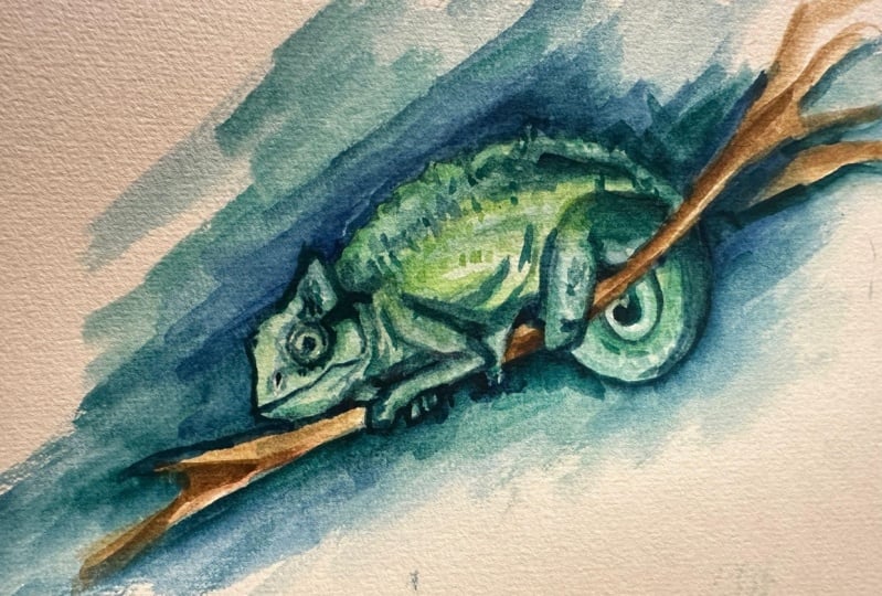 an animal from a reference photo :)