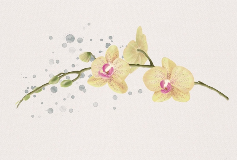 Watercolor Orchid