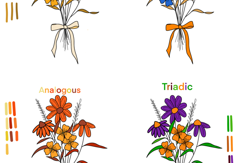 Creating Your Own Color Palette