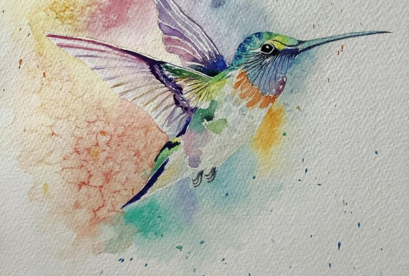 Hummingbird tutorial