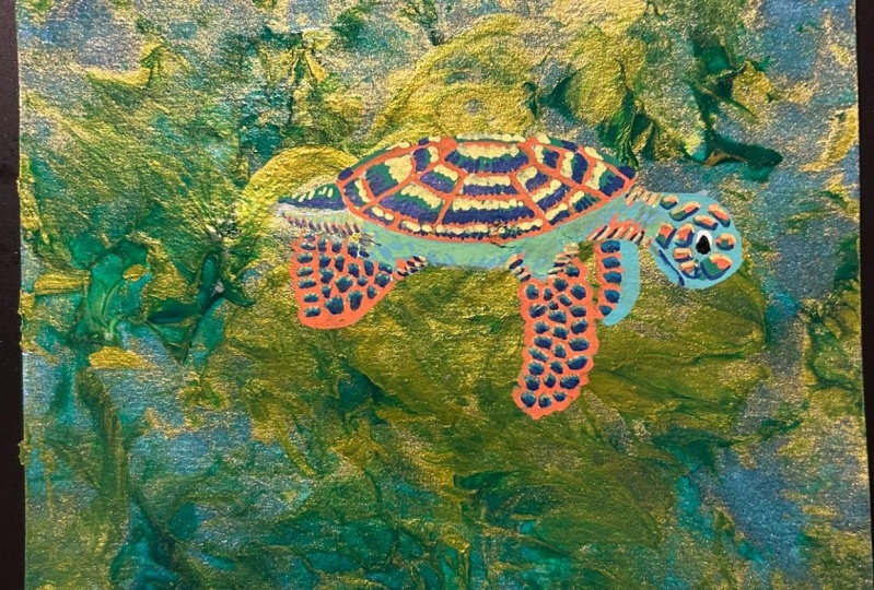 Sea Turtle Follow Along