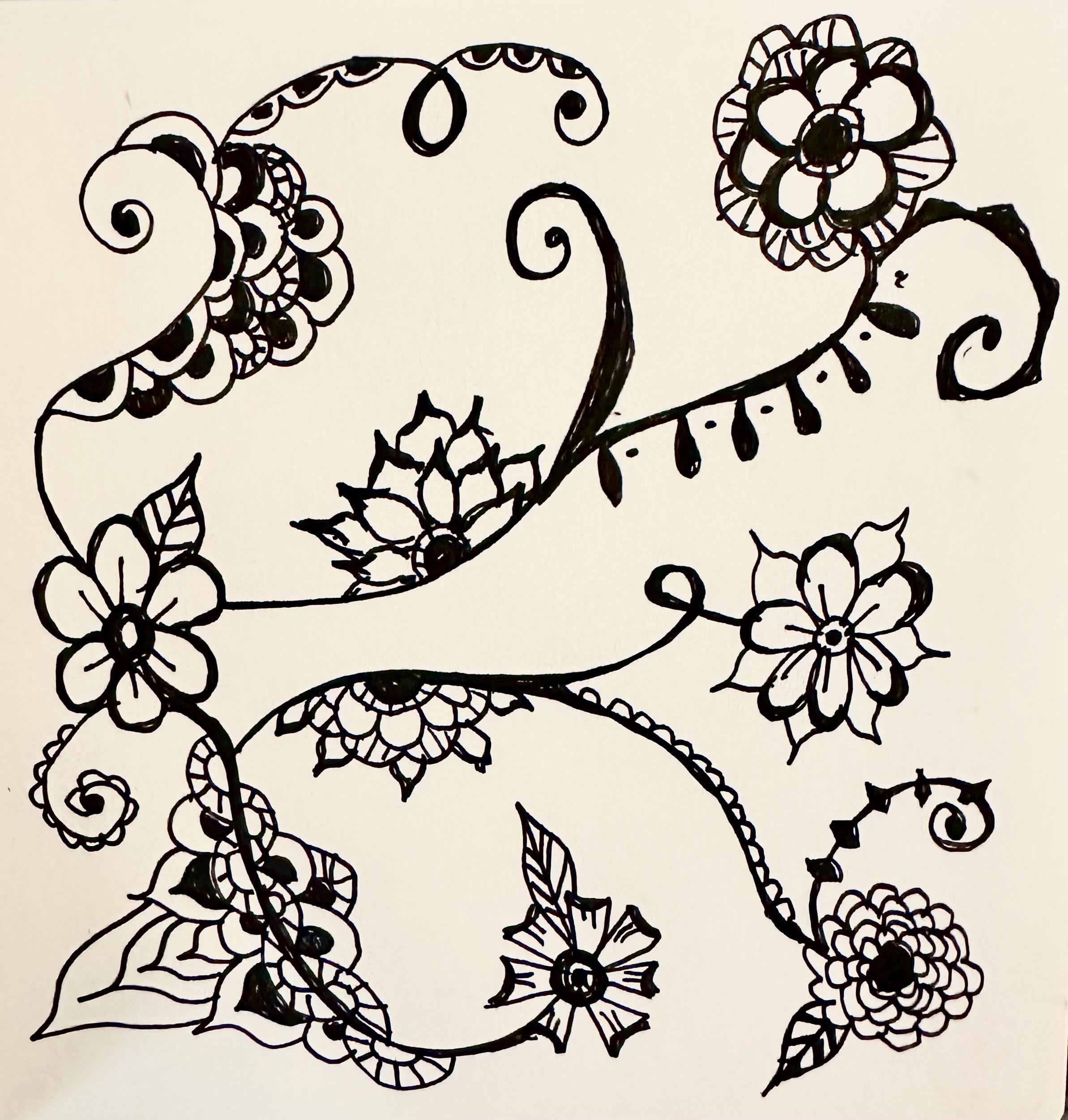 more-projects-from-class-img