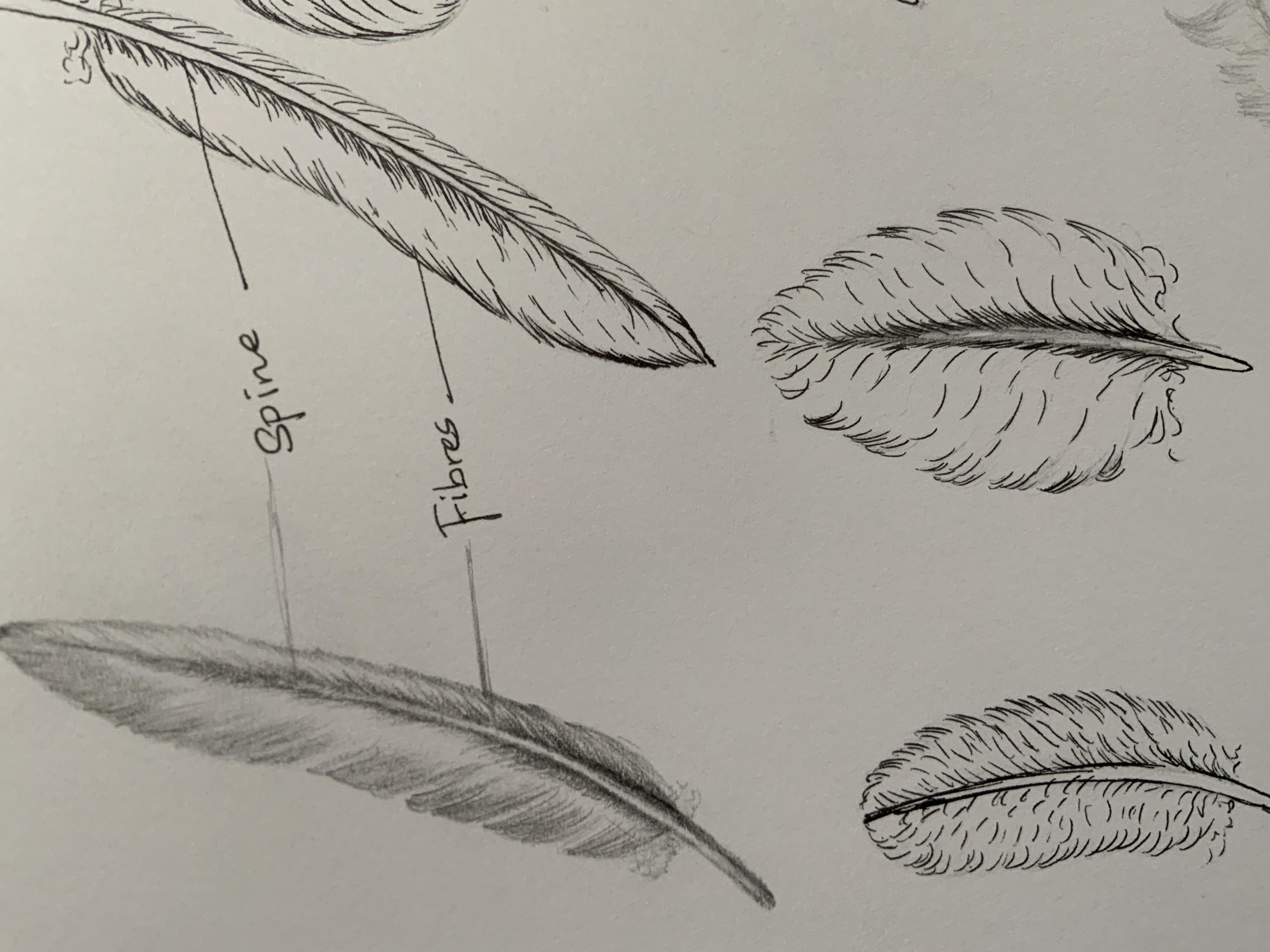 more-projects-from-class-img