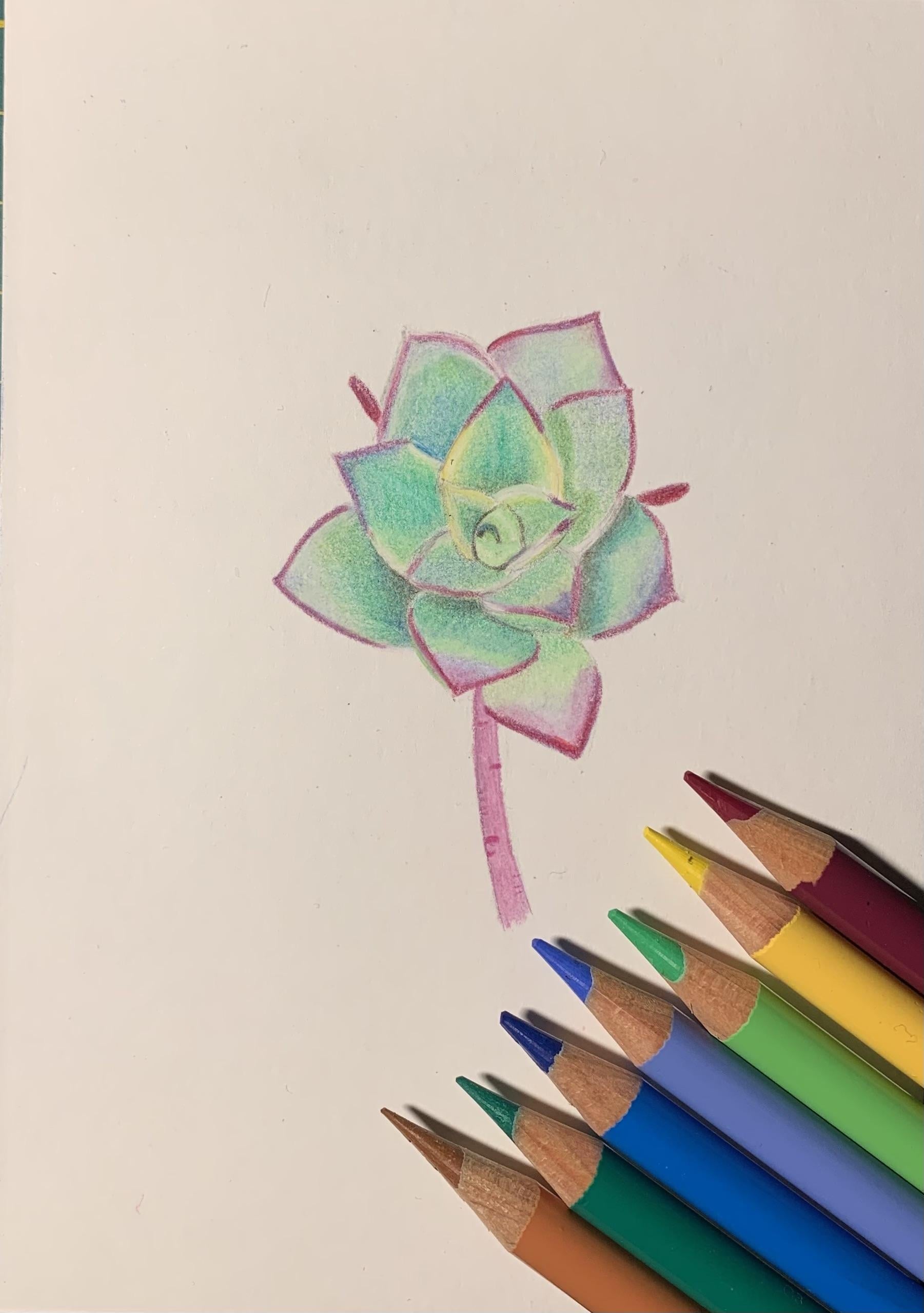 more-projects-from-class-img