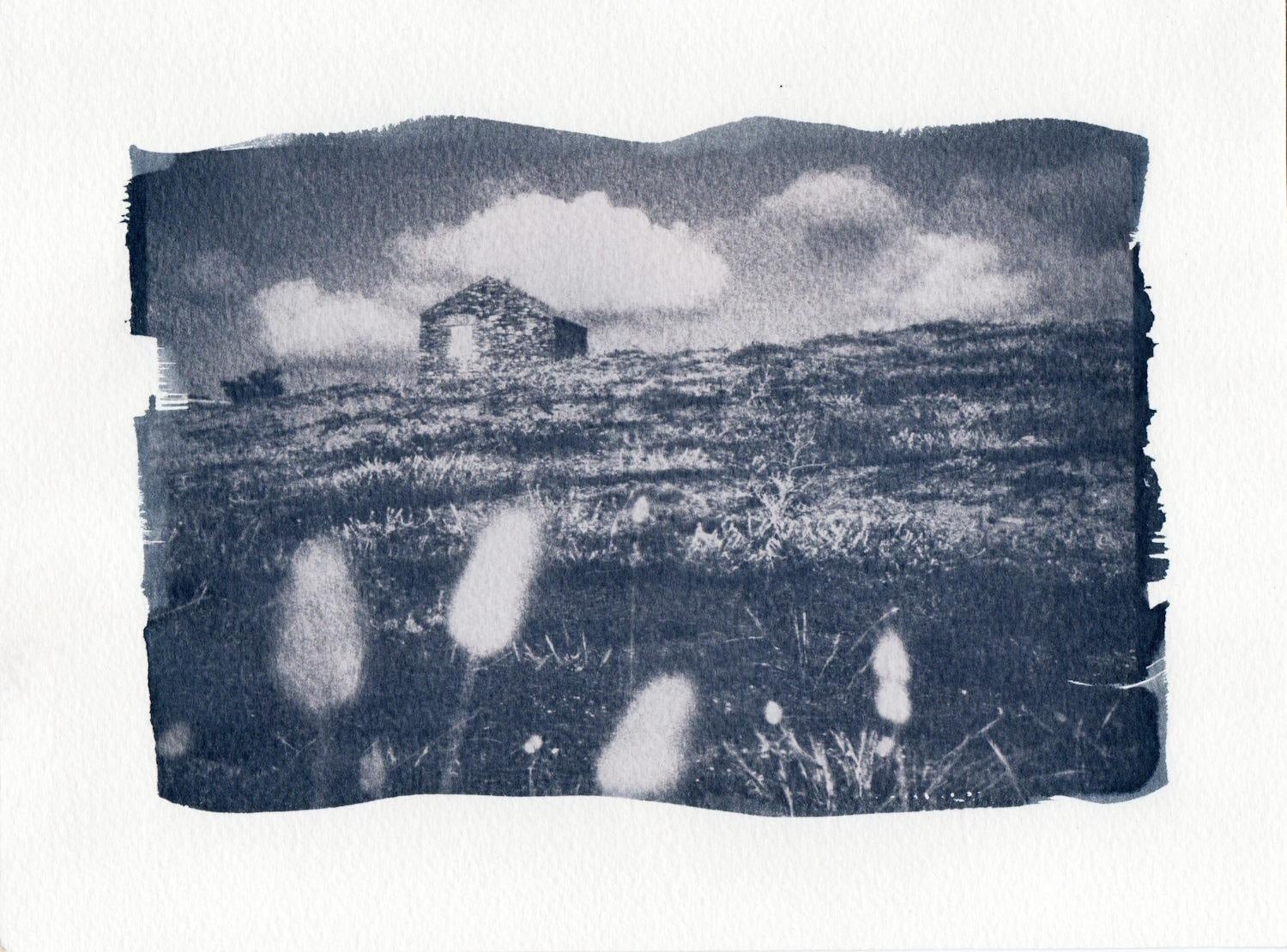 Wild coast sheepfold - instant coffee toning - student project