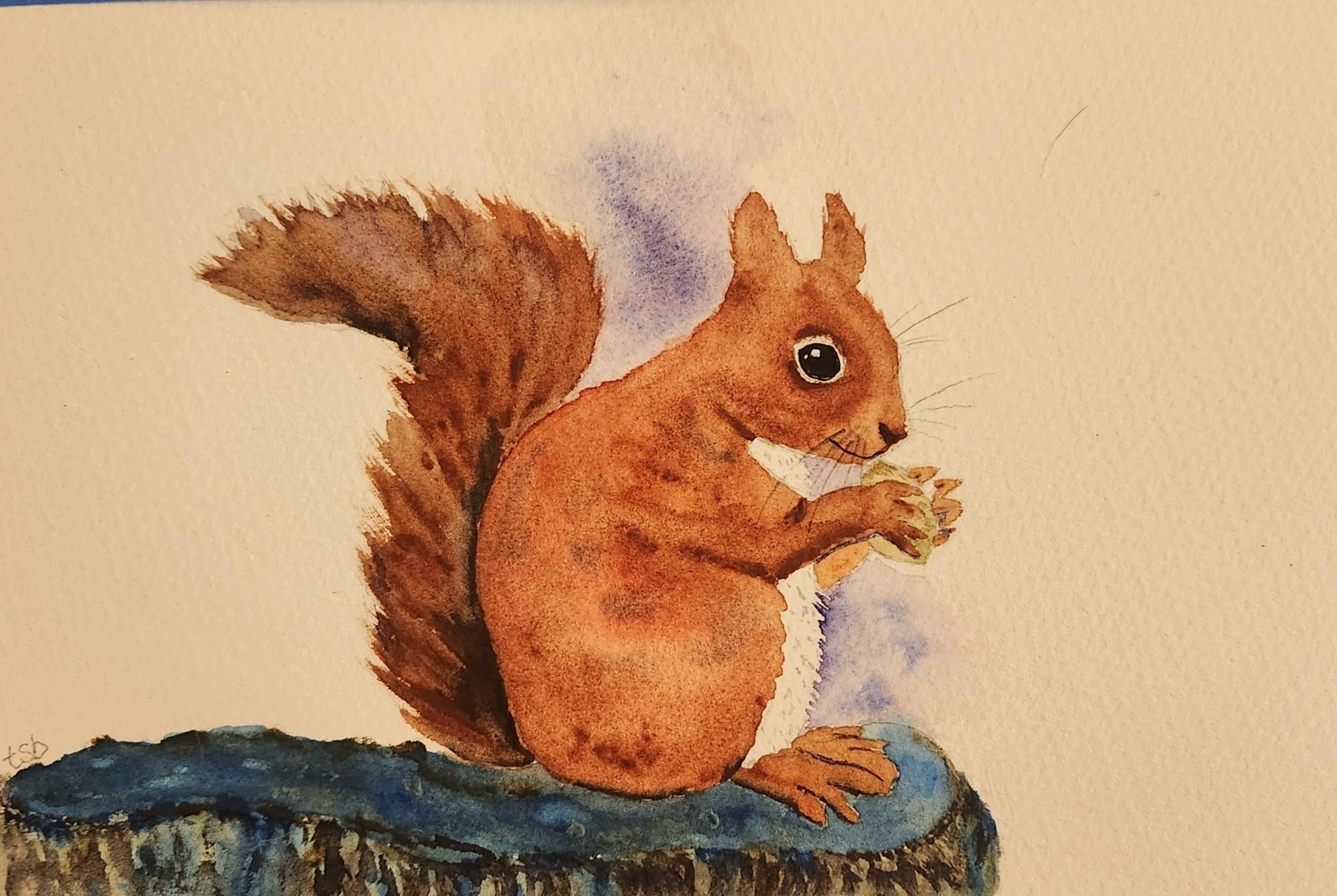 Red Squirrel - student project