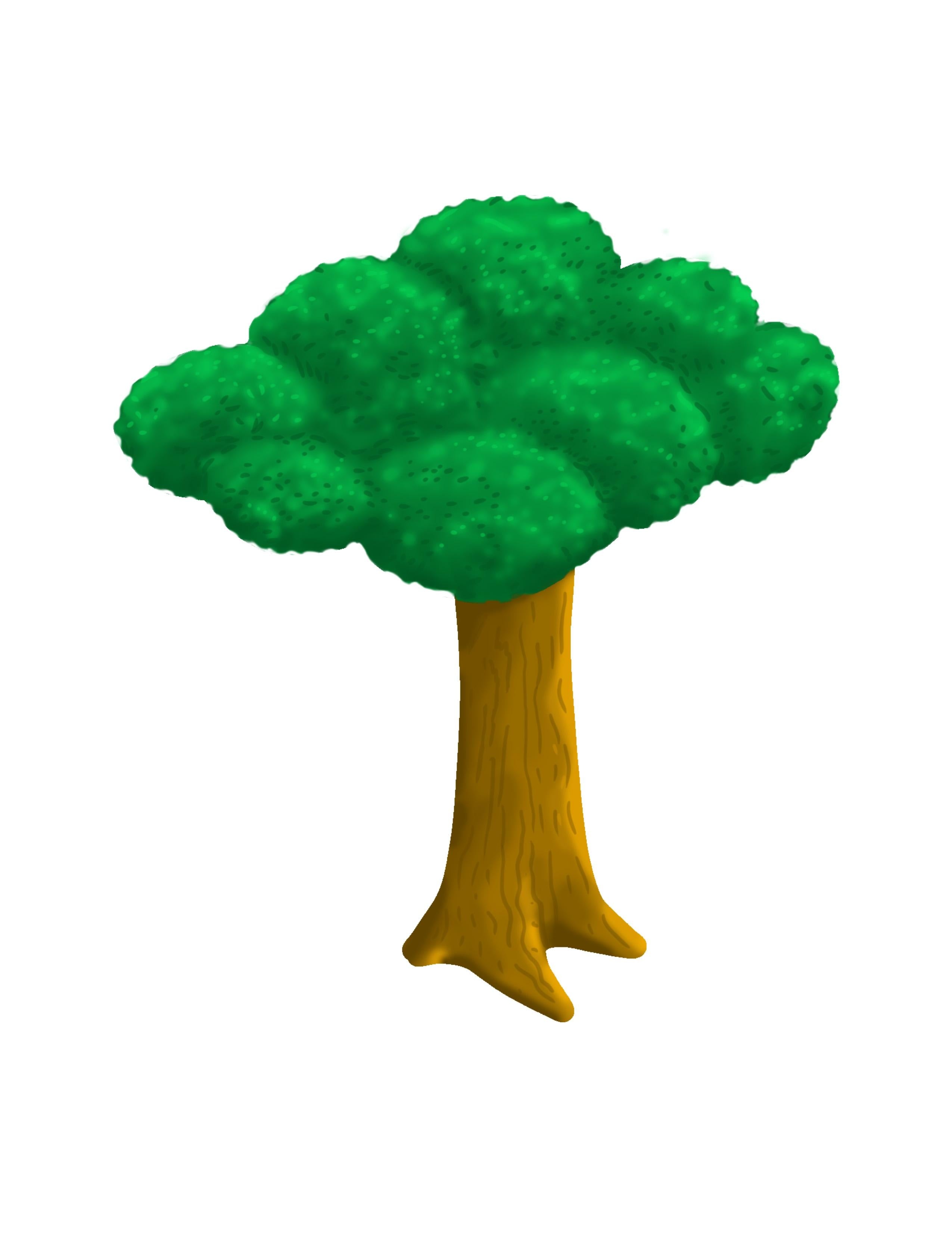 more-projects-from-class-img