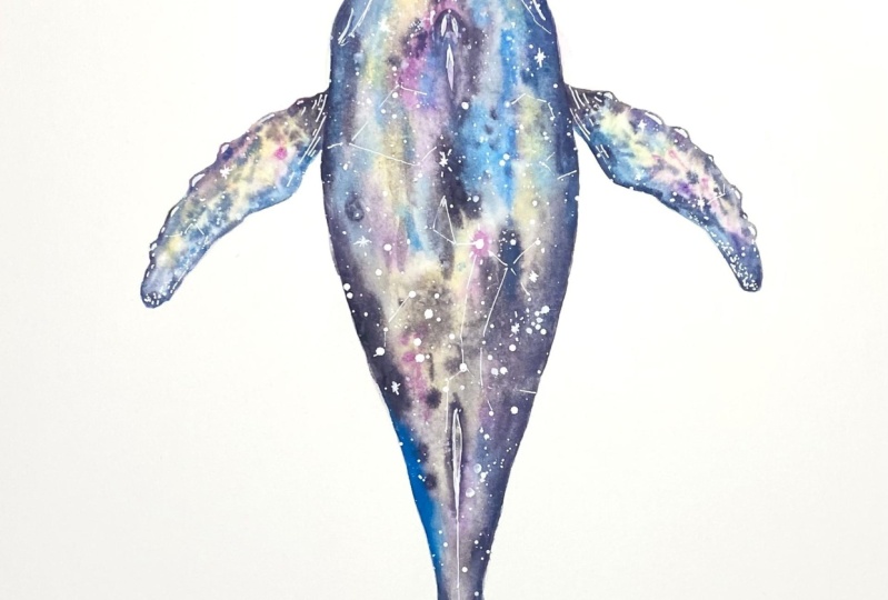 Whale with Canis Major