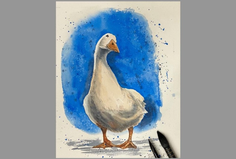 Watercolor backgrounds