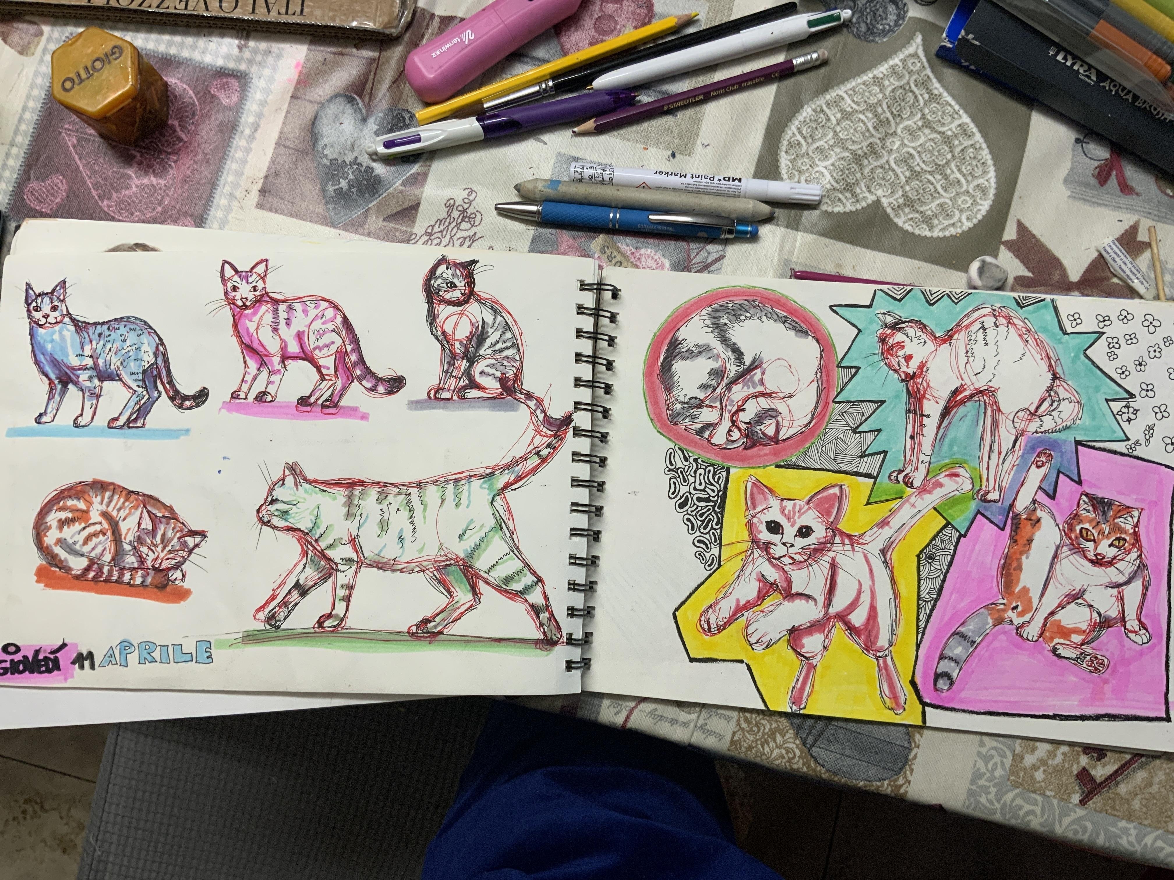 more-projects-from-class-img