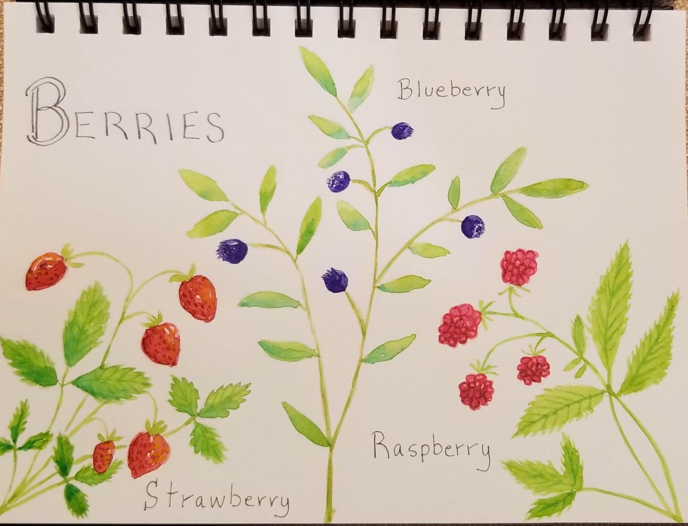 more-projects-from-class-img