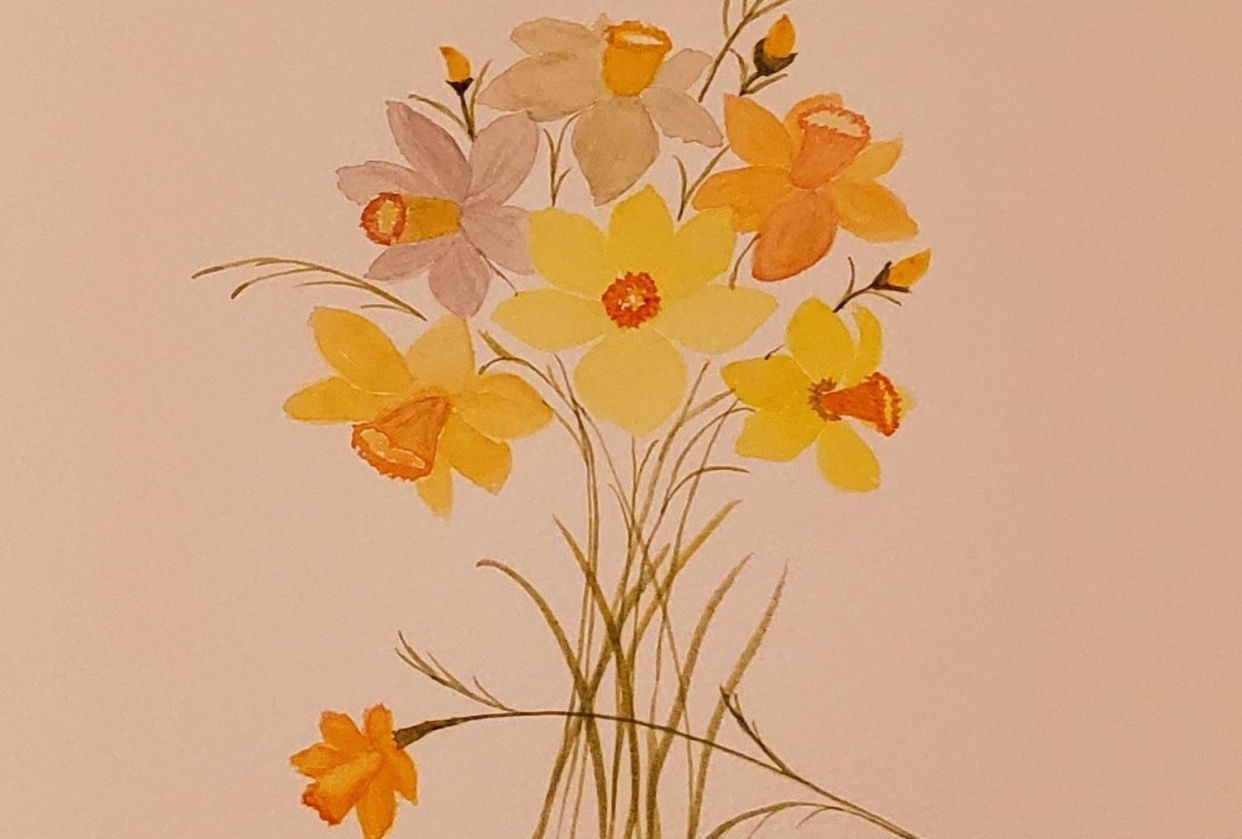 Loose watercolor daffodils - student project