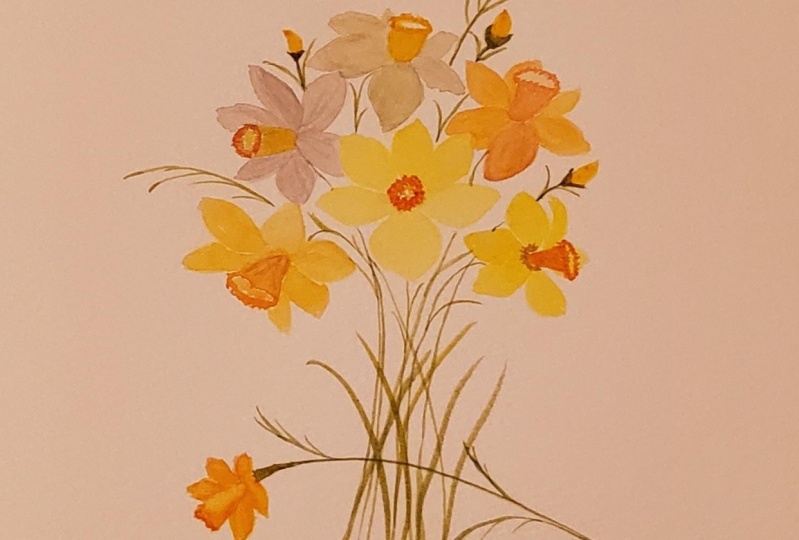 Loose watercolor daffodils
