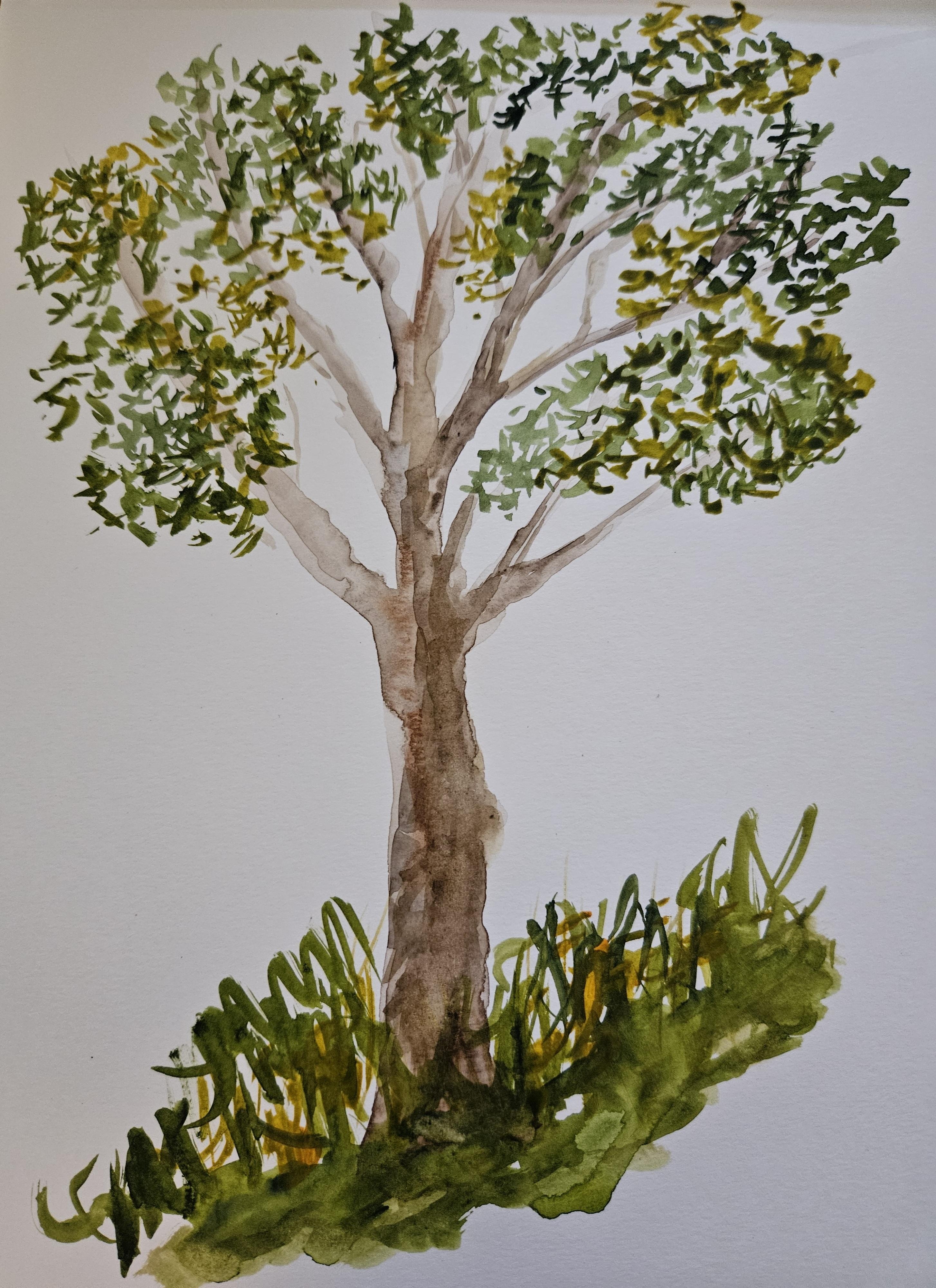 more-projects-from-class-img