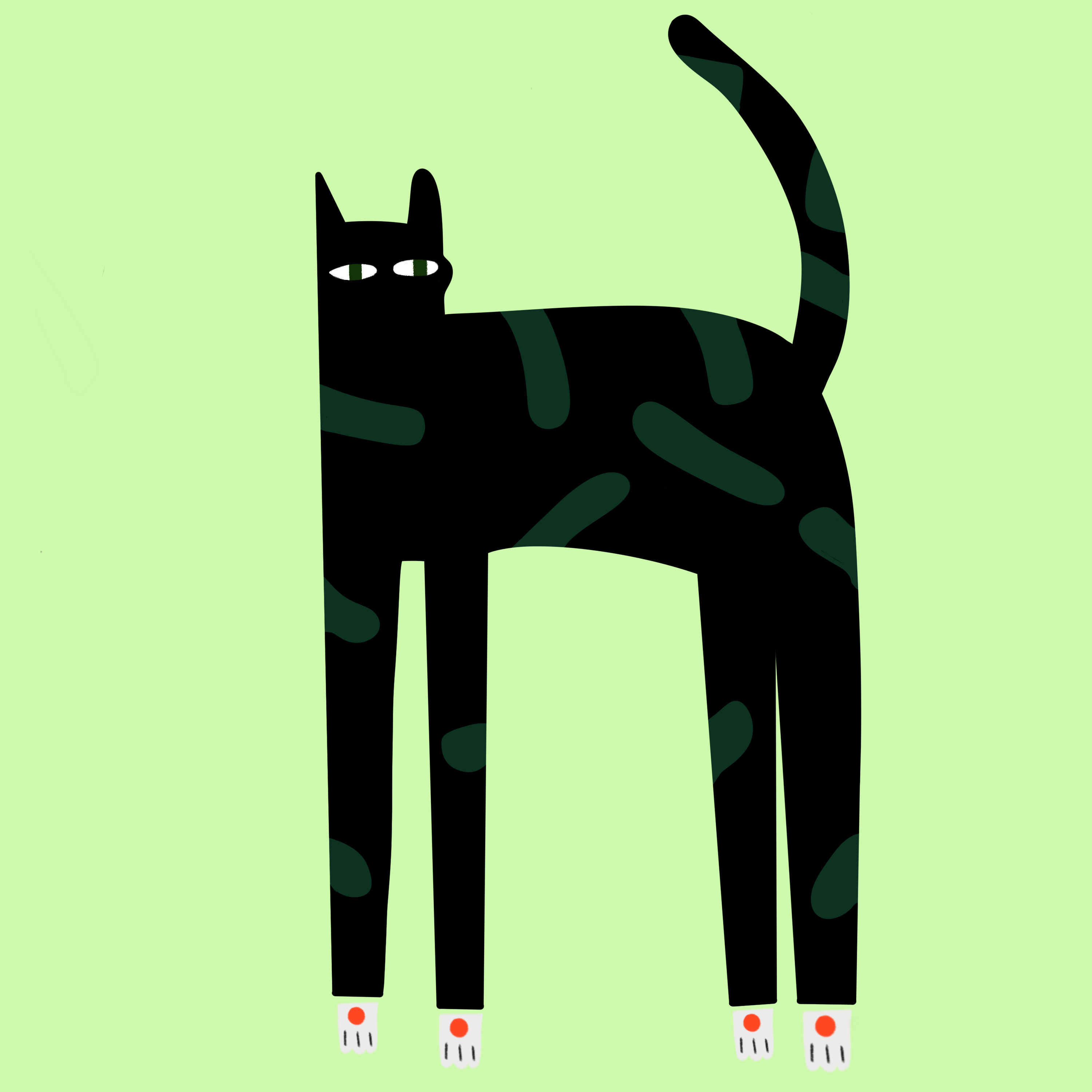 more-projects-from-class-img