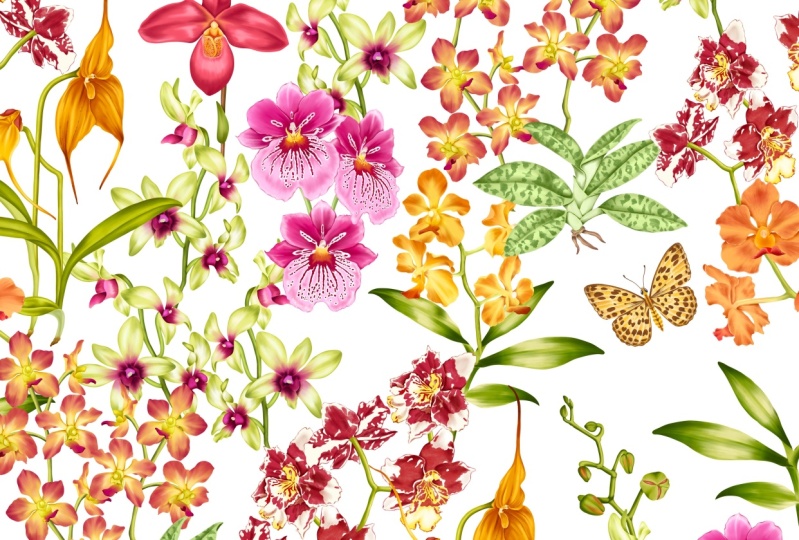 Illustrate Orchids in Procreate