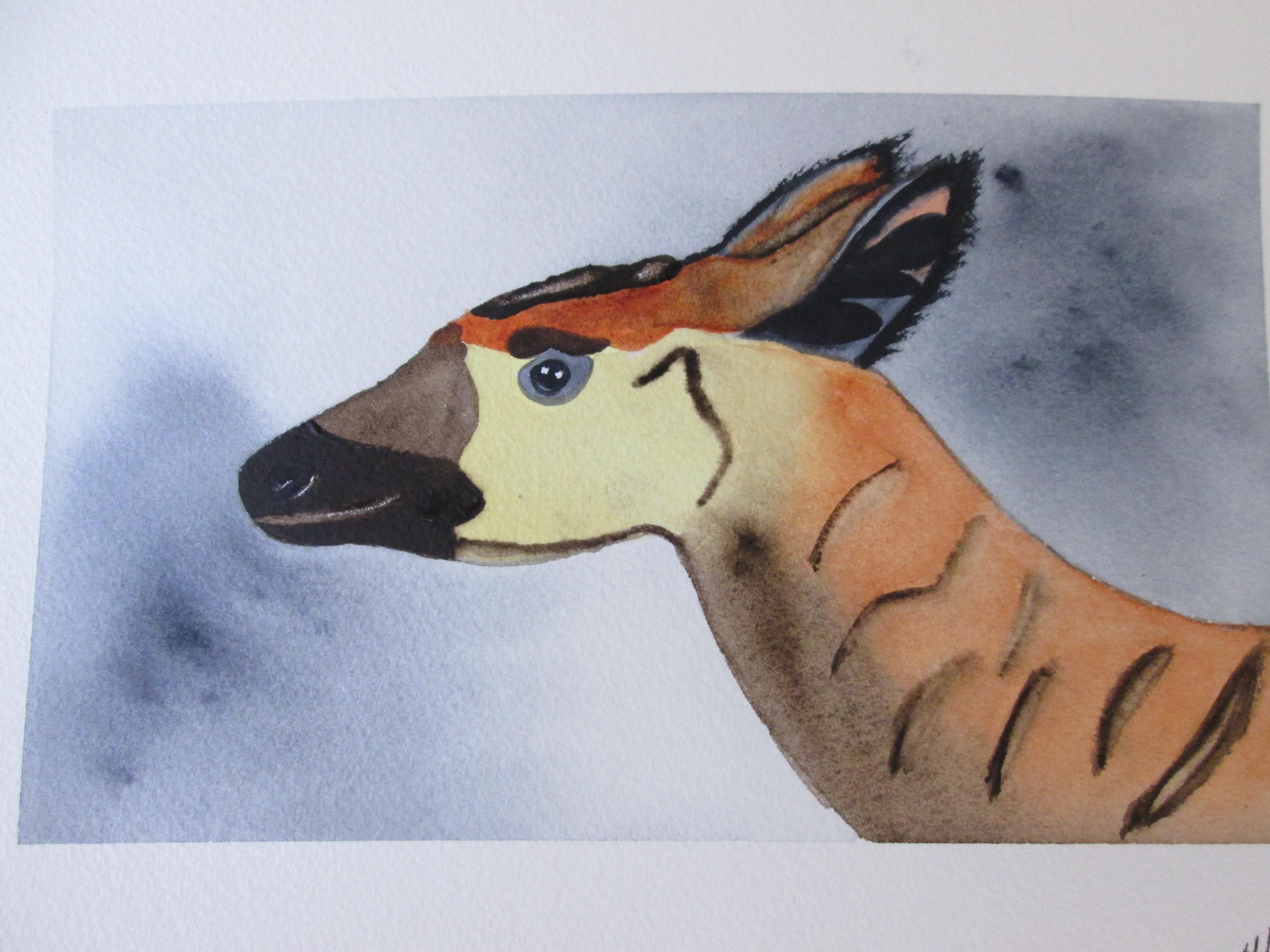 Watercolor Okapi - student project