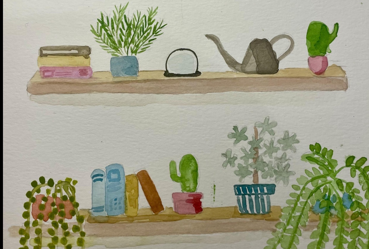 Plants watercolor - student project