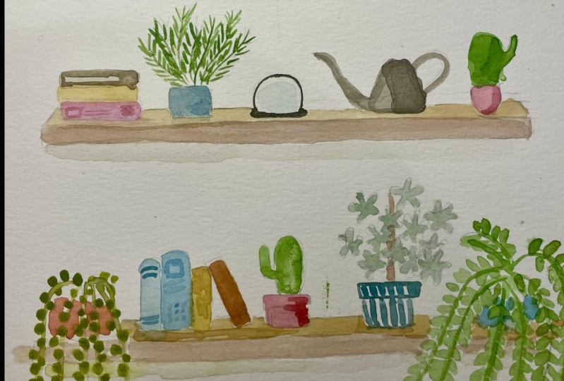 Plants watercolor