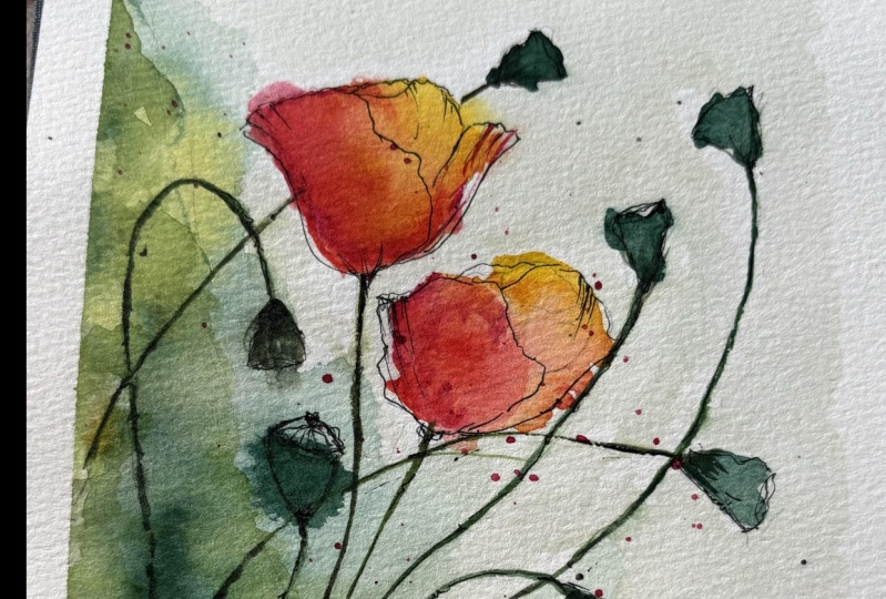 poppies