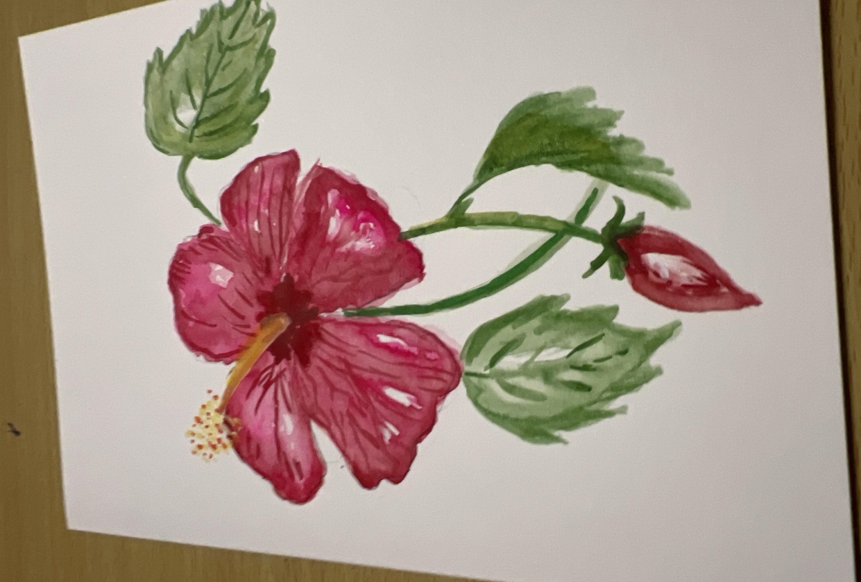 Watercolor hibiscus - student project
