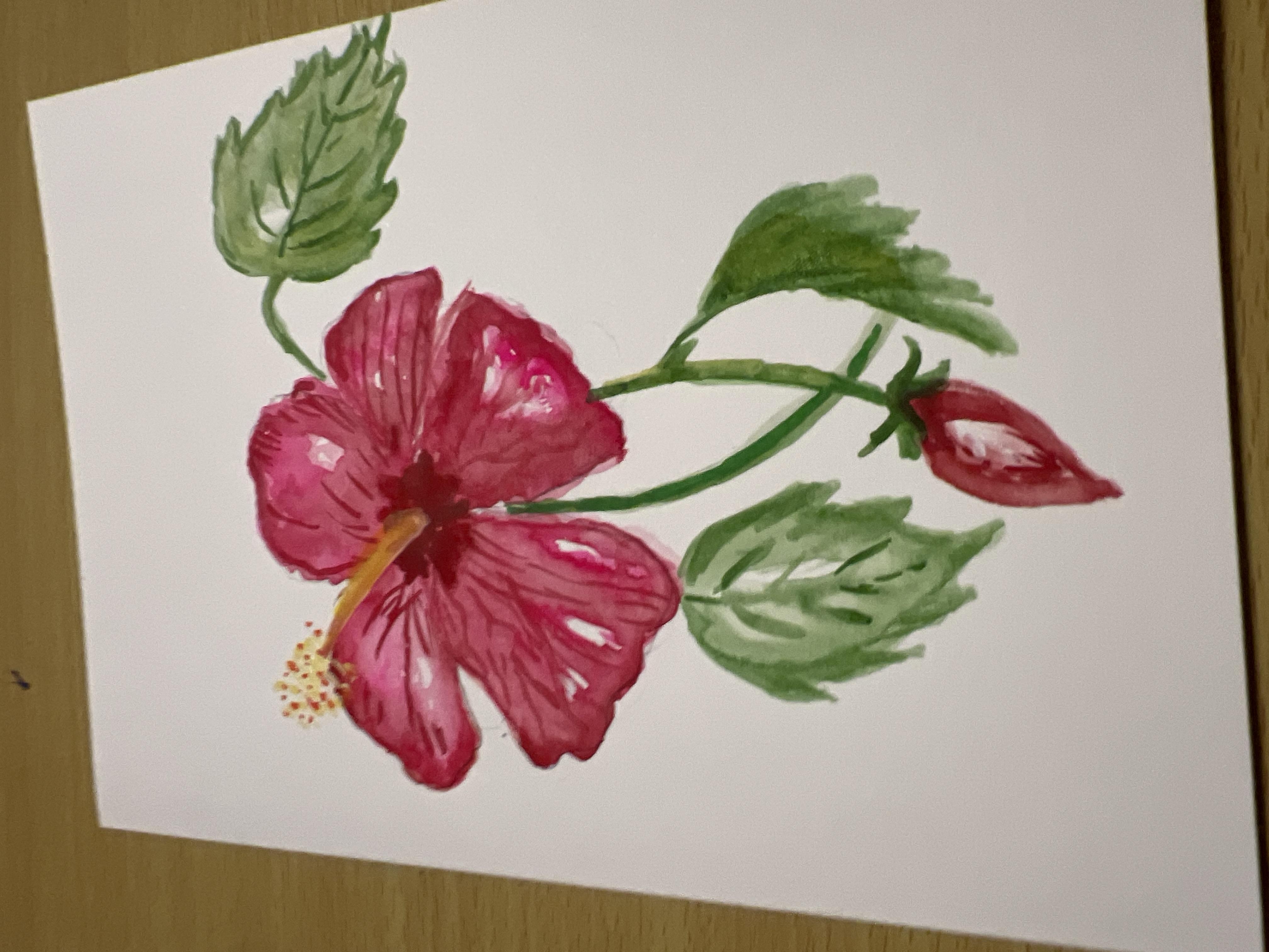 more-projects-from-class-img