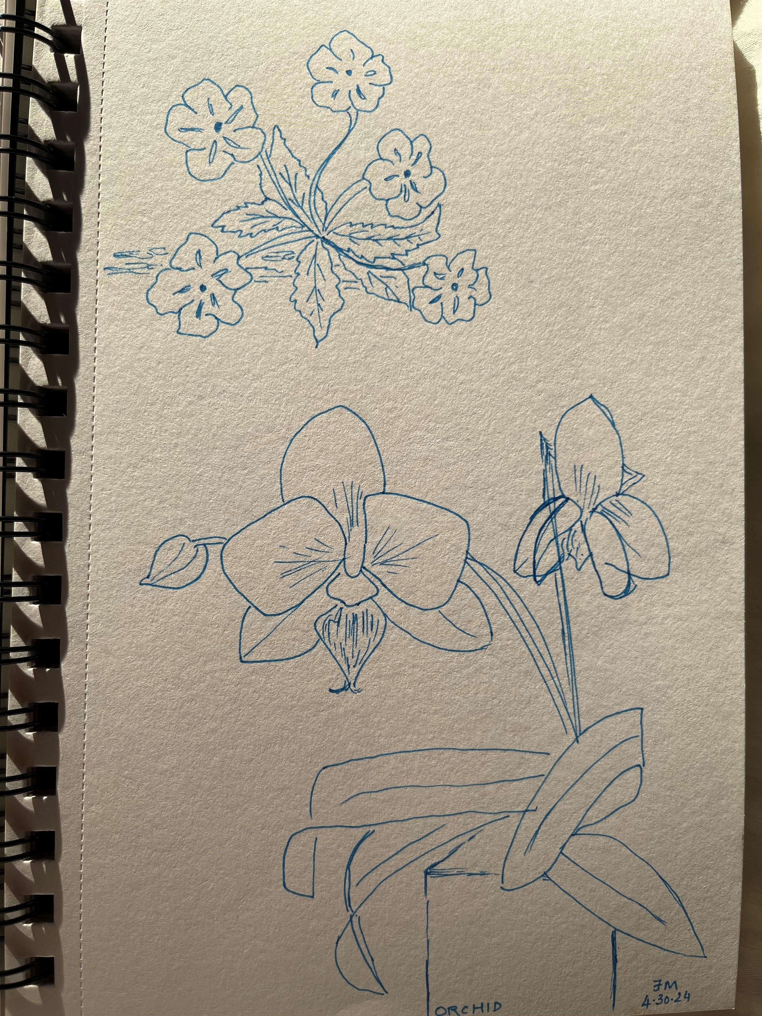 more-projects-from-class-img