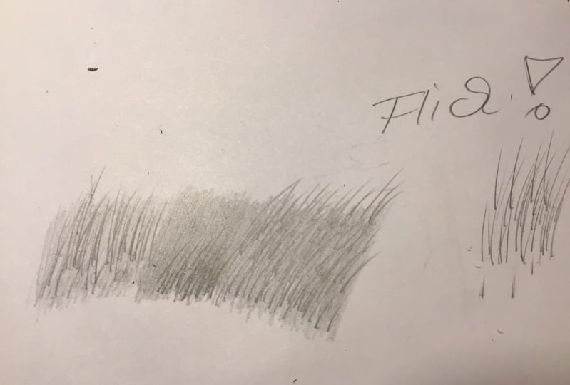 Fur
