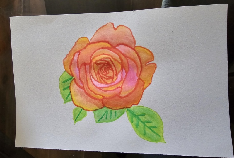 Red Rose in Watercolor