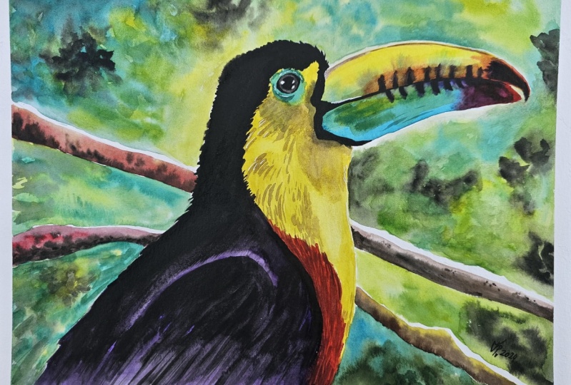 Tucan