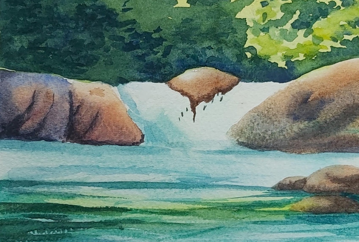 Forest Waterfall Landscape - student project