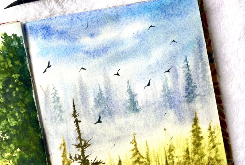 Misty pines
