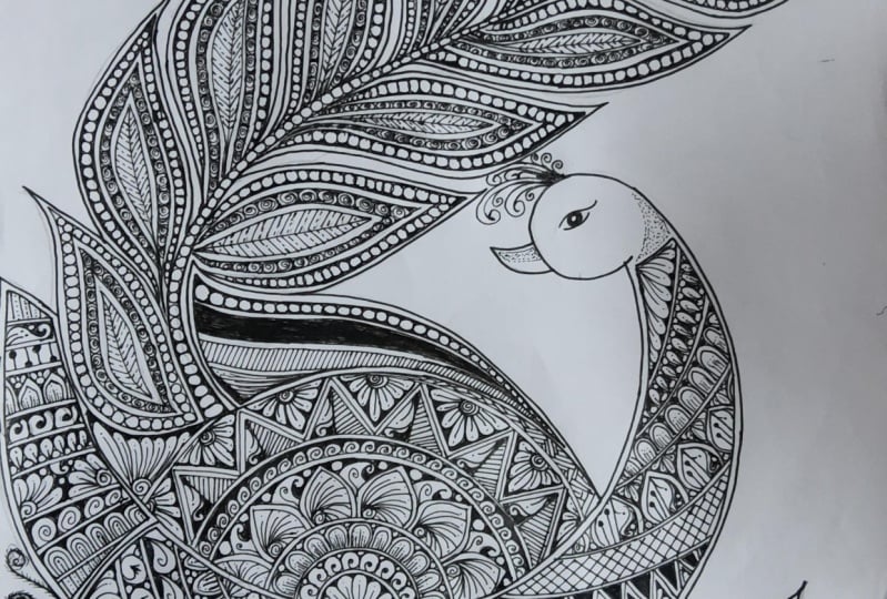 Peaceful Peacocks