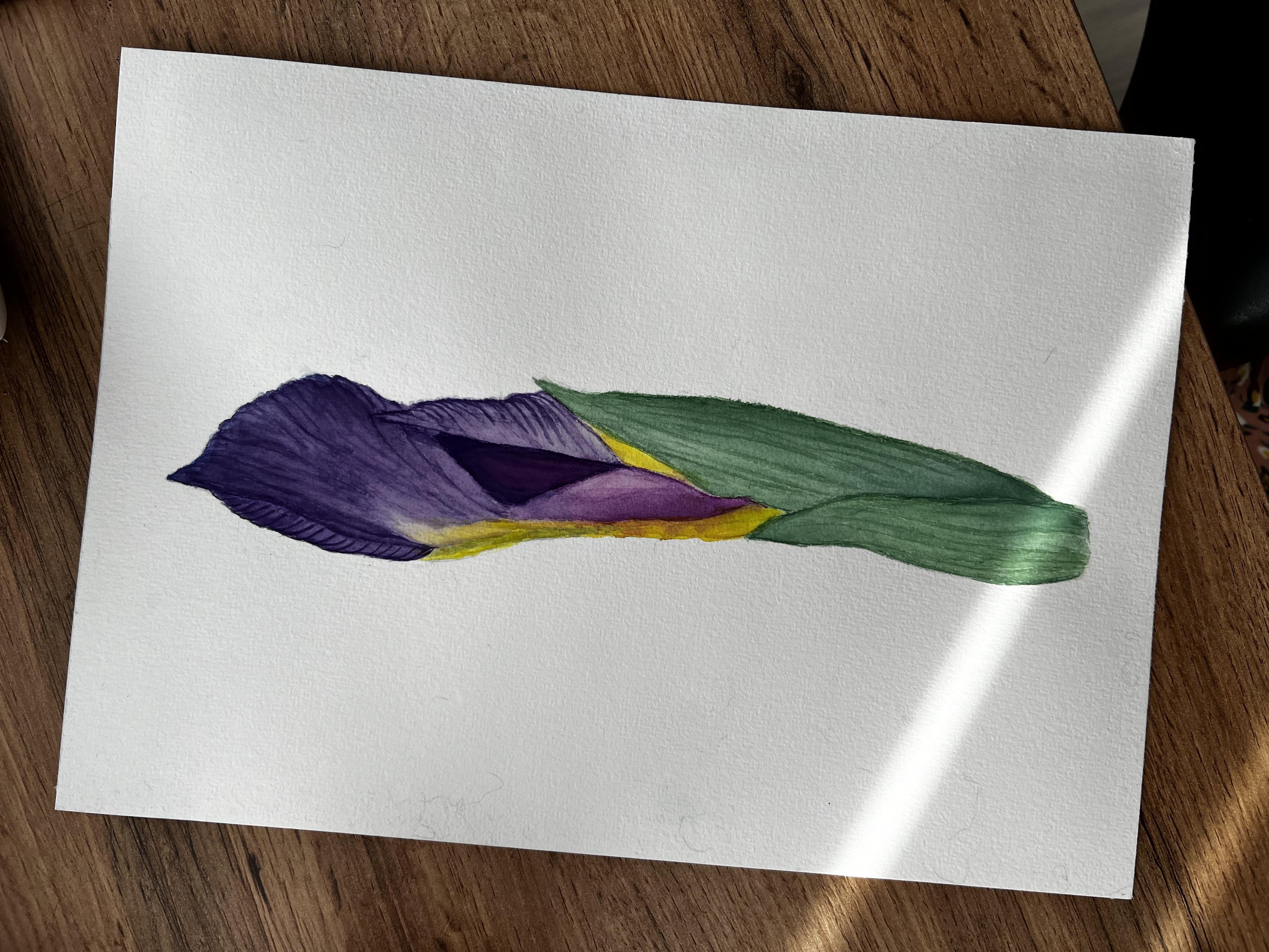 more-projects-from-class-img