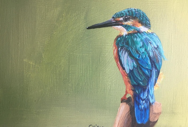 king fisher