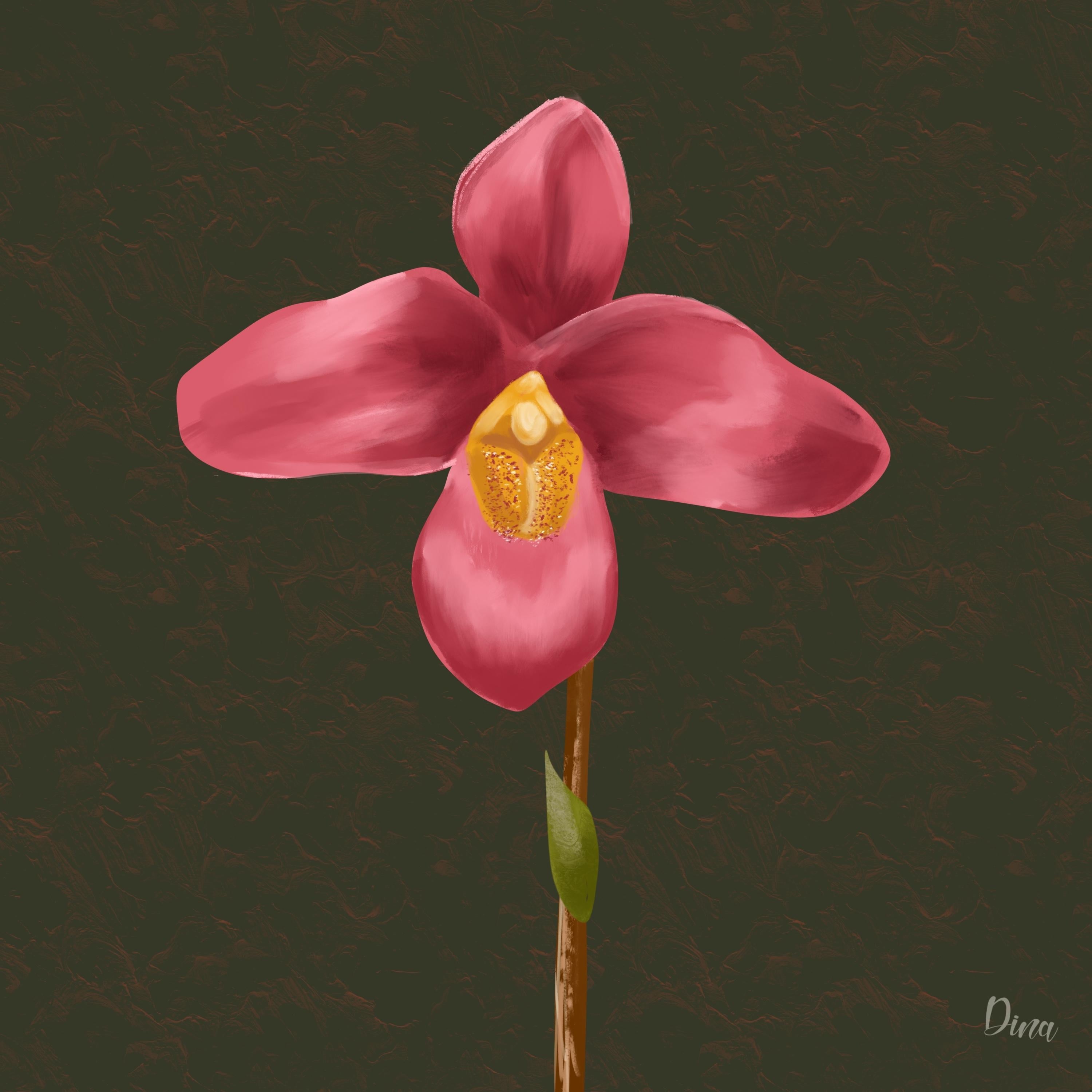 My first orchid - student project