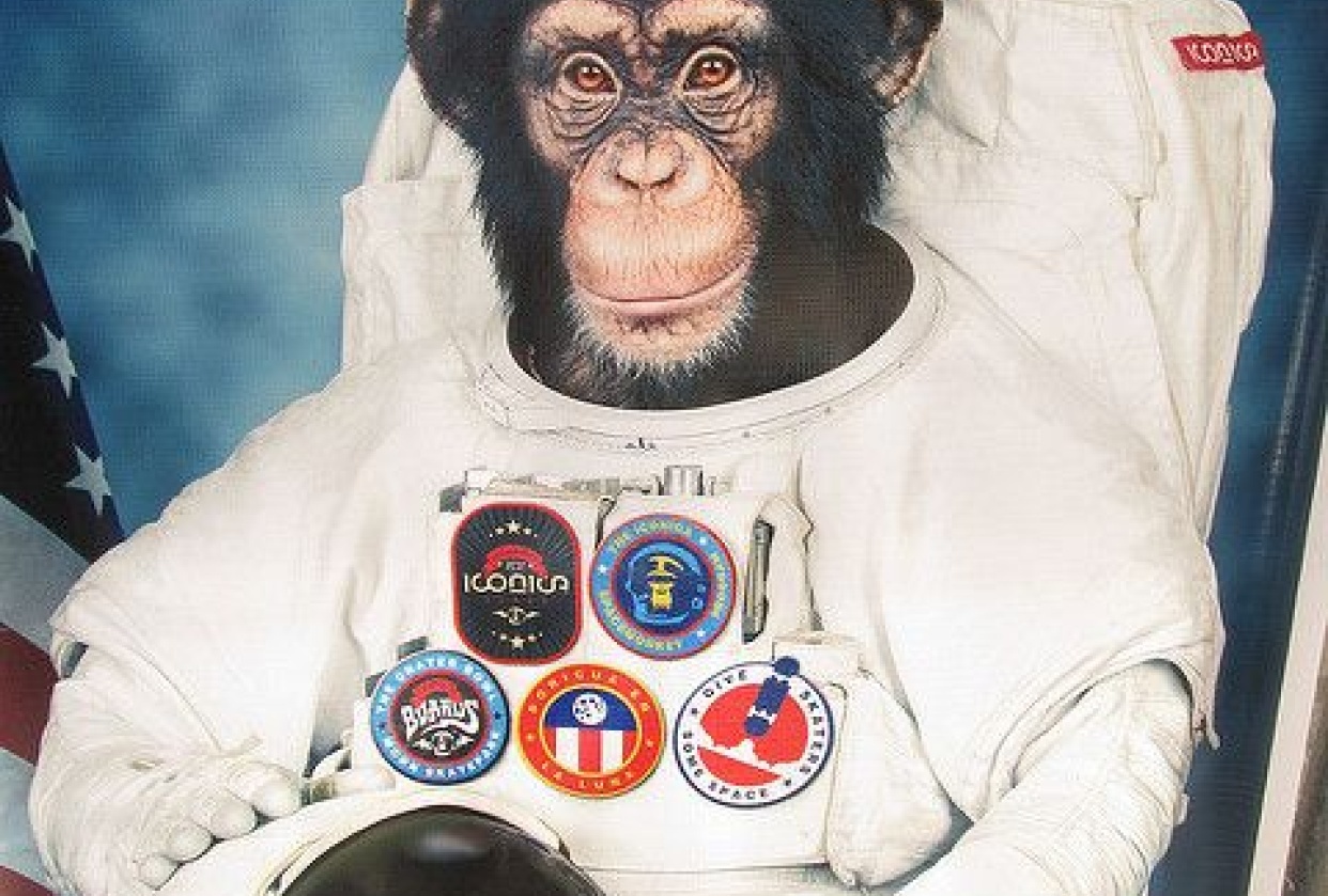 Space Monkey - student project