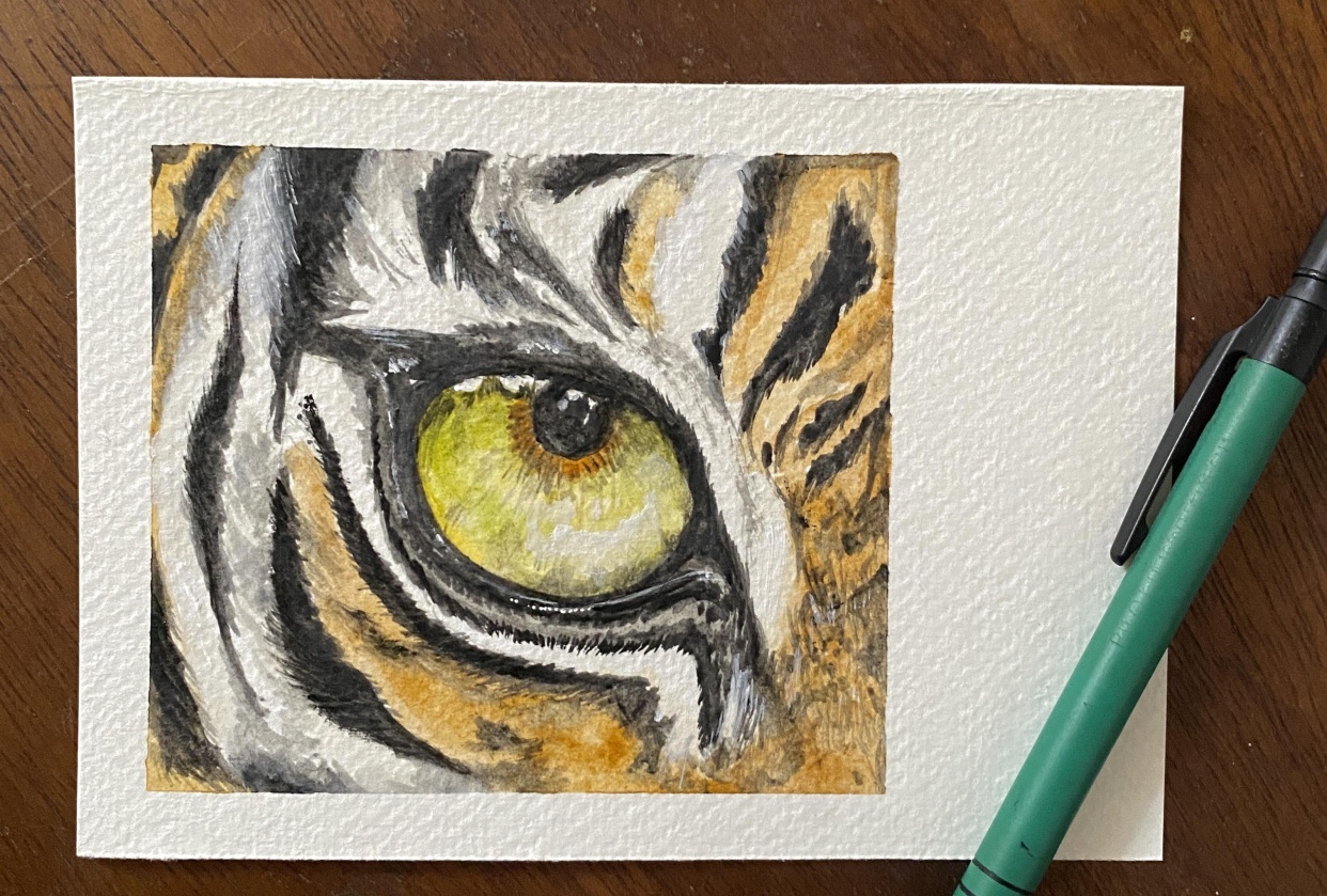 Protector Animals - student project