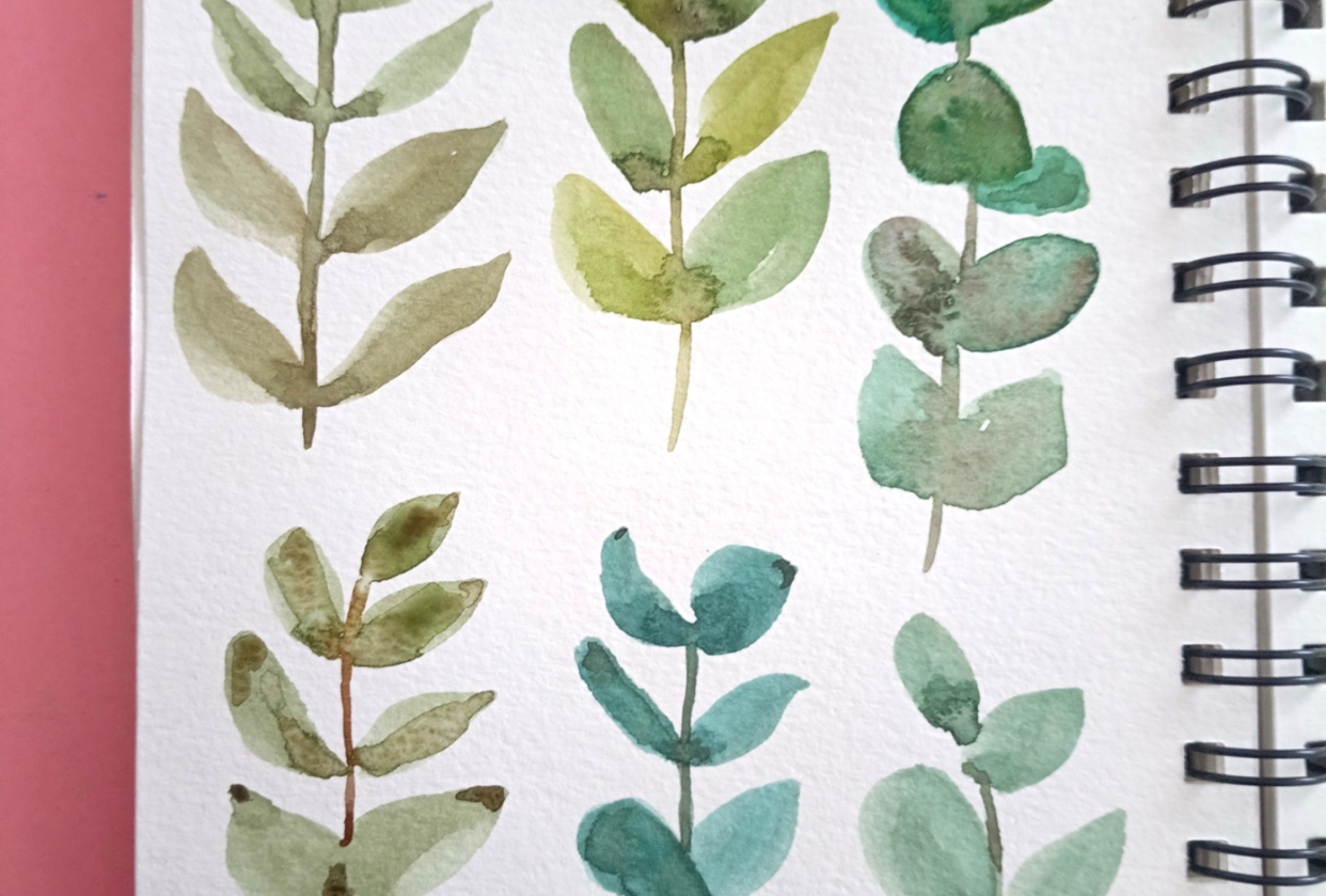 Botanicals - student project