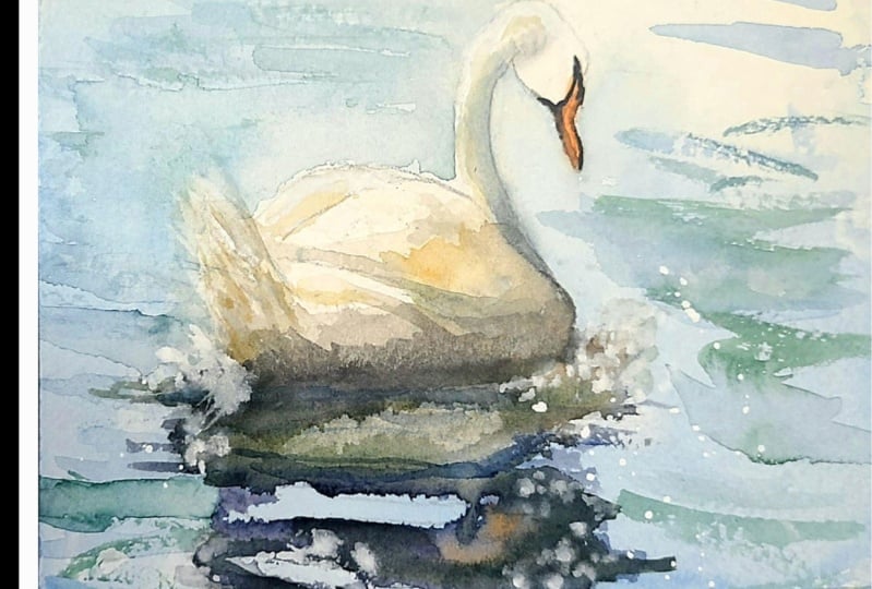 the boat and the swan
