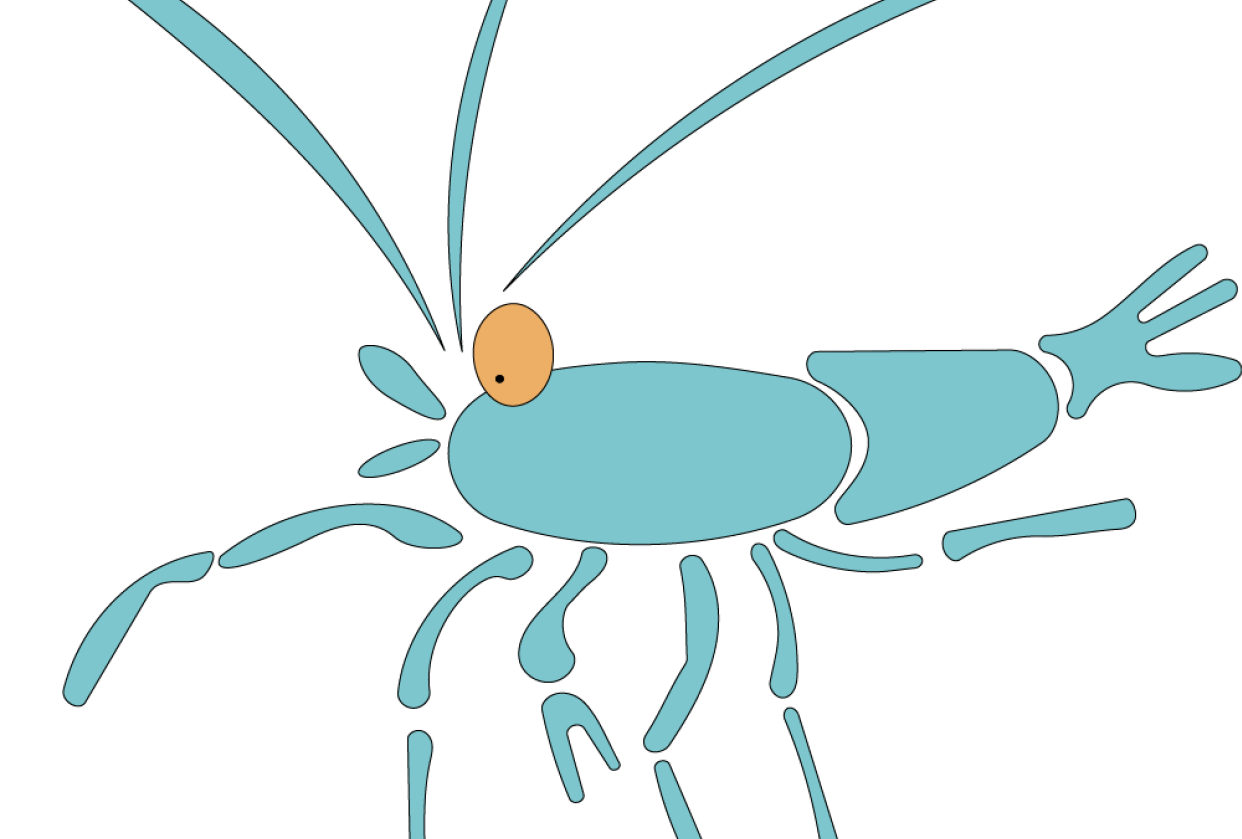 Shrimp pet illustration - student project